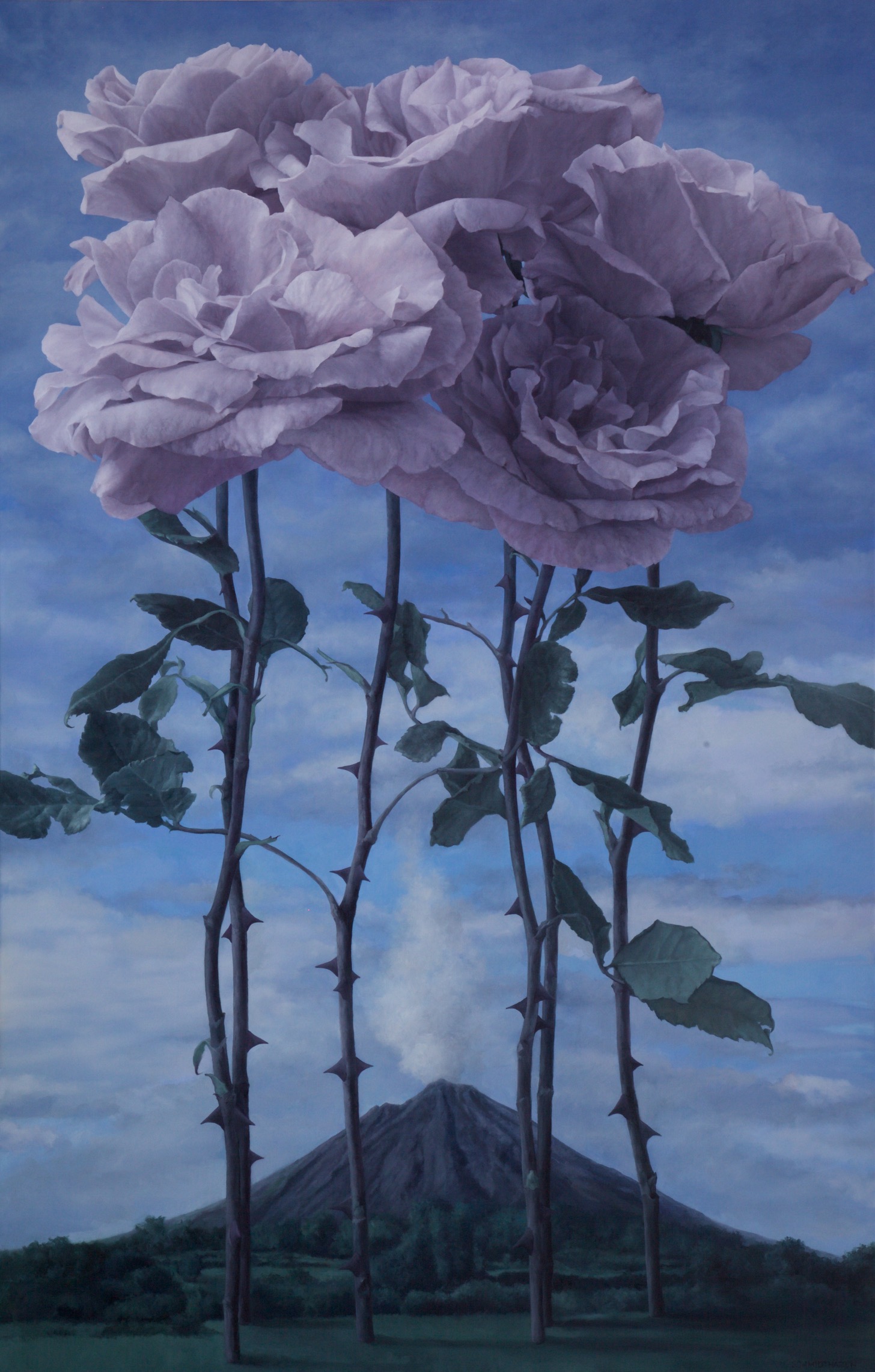 pale grayish pink roses volcano