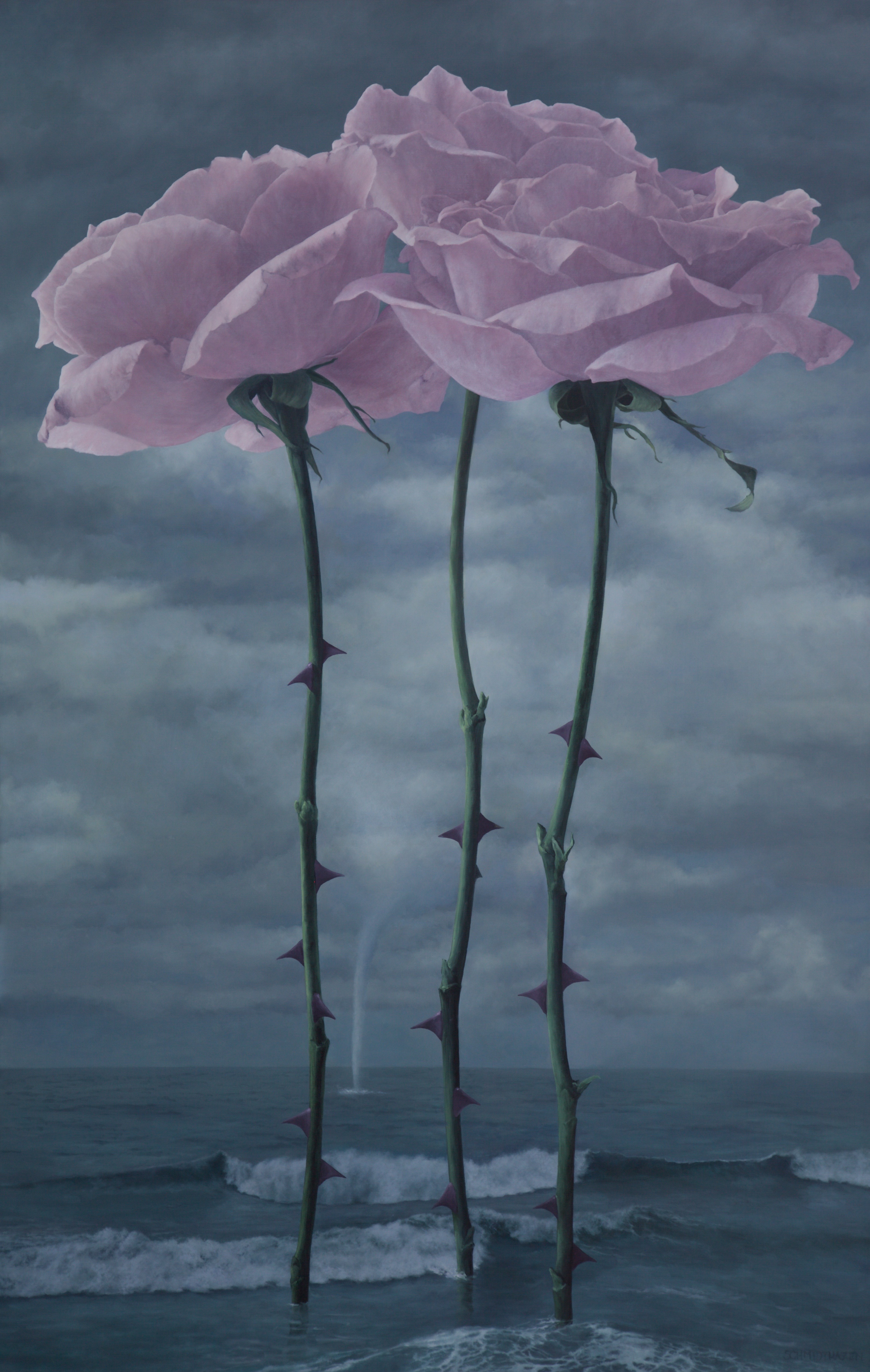 Pale pink roses water spout