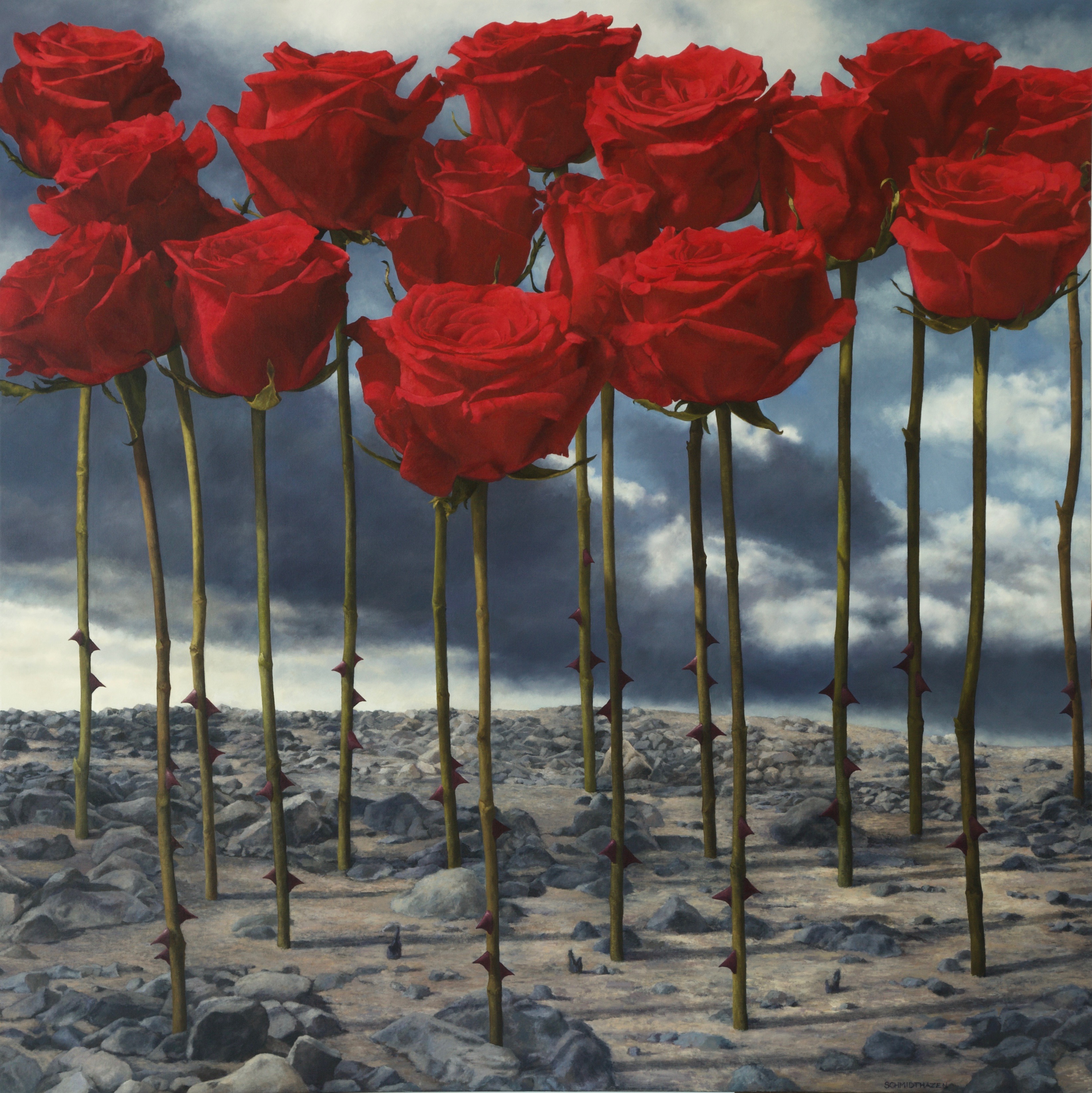 16 red roses, dry ash and rocks 