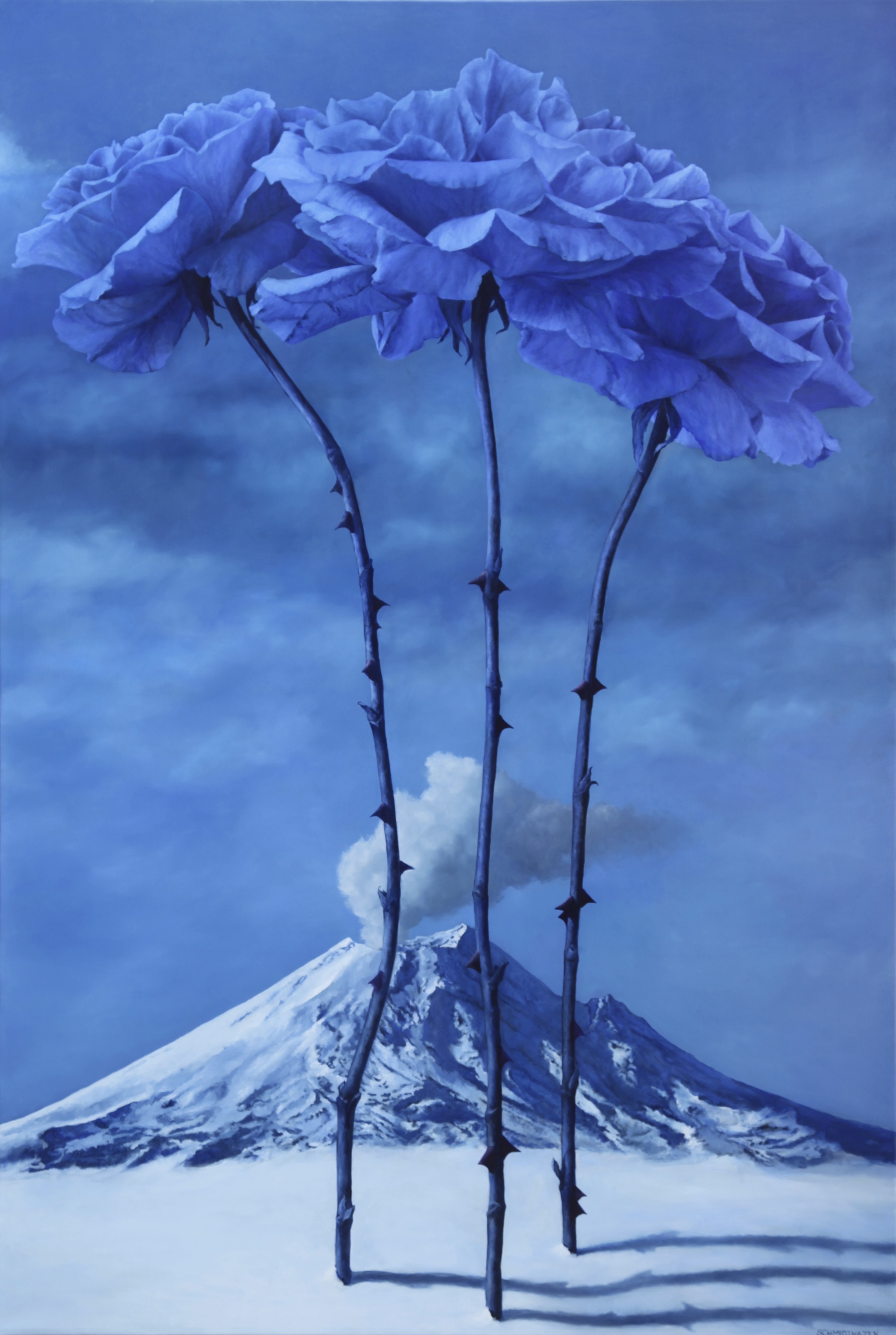 3 blue roses with snow and volcano