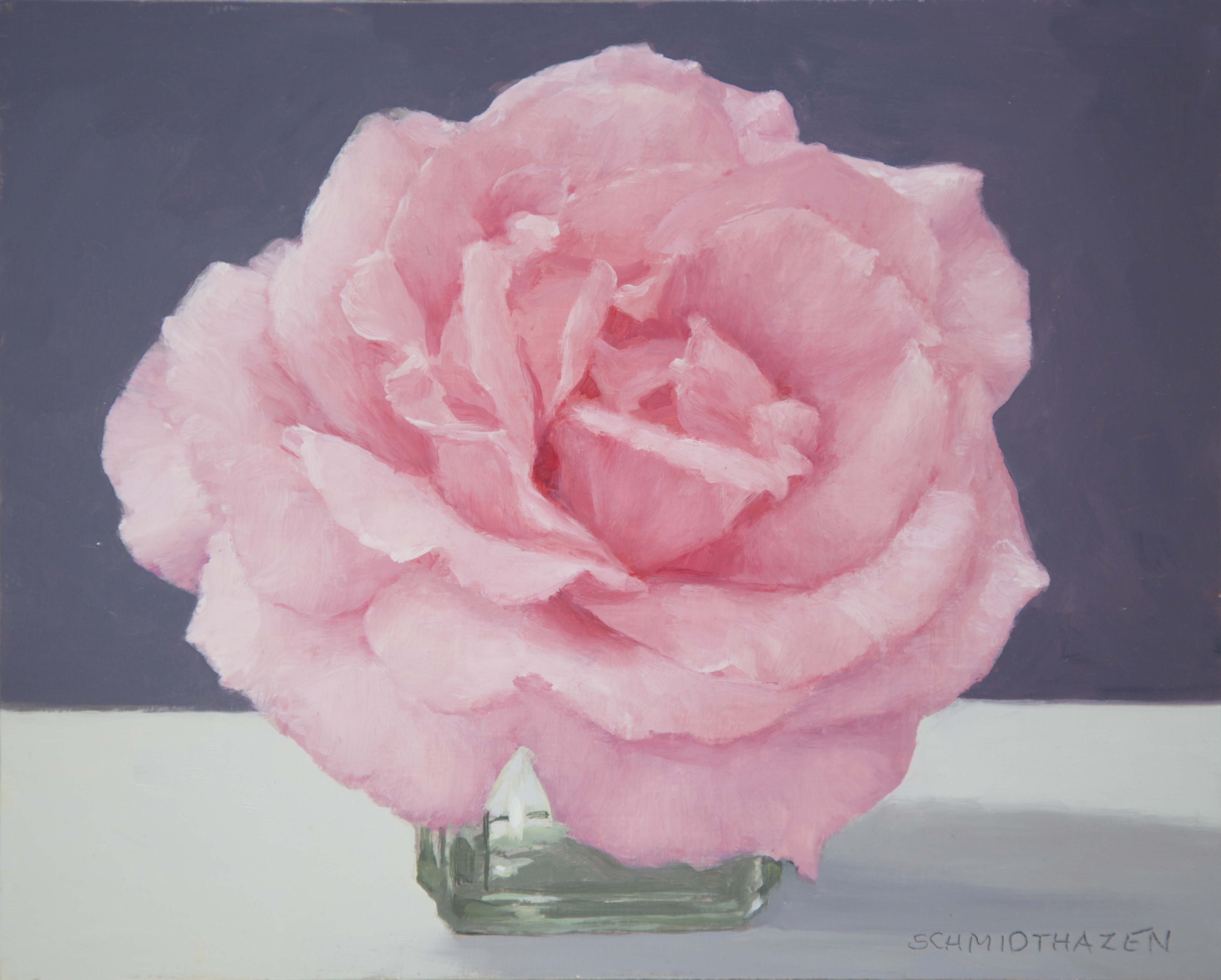 Pink echisada in glass bottle